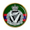 Giftshop UK Royal Irish Regiment British Army Pin Badge, gold