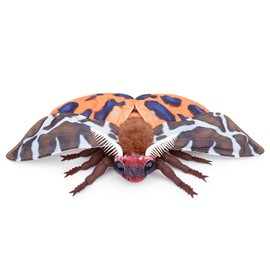 Tiny Heart Round Tiger Moth Plush Toy, Orange Round Tiger Moth, Simulated Cute Tiger Moth Plush Toy Collection, Realistic Stuffed Toy, Soft, for Christmas Party, Home Decoration (27 cm/11 inches)