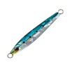 shaut! Metal Jig Rays 40g Sardine #33(I) 199RA Lure