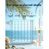 Acrylic Magnetic Seashell Display Box - 36 Grids Transparent Shell