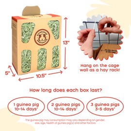 GuineaDad Timothy Hay Box - Premium Timothy Hay for Guinea Pigs, Rabbits, Small Animals