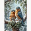 Animal Diamond Art Kits for Adults, Bird Diamond Painting Kits
