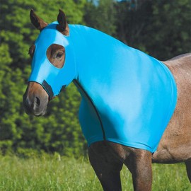 Couristan Coolcore Lycra Hood for Horses Turquoise Small
