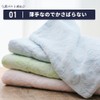 Swallow Towel Blanket, Single, Thin, 100% Cotton, Made in Japan,