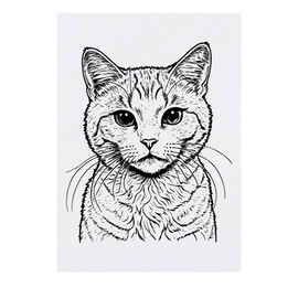'Cat Looking At You' Temporary Tattoo - Water Resistant, Skin-Safe, Non-Toxic Transfer (TO00074391)