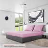 LYMA Bedding Pillowcase 80 x 80 cm, Set of 2,