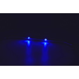 Marine City Newest Stainless Steel 12 Inches Grab Rail Handle with Blue 2 LED Lights (12” 2-LED-Lights Grab Rail Handle)