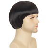 60s 70s Retro Black Bowl Cut Wig for Men Funny