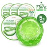 The Flora Aloe Vera Soothing Gel Purity 100 300ml 5 pieces Moisturizing soothing moisturizing cream / 더플로라 알로에베라 수딩젤 순도100 300ml 5개 보습 진정 수분크림