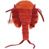 Little Beans Shrimp Plush
