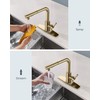 FORIOUS Gold Kitchen Faucet with Pull Down Sprayer, Stainless Steel