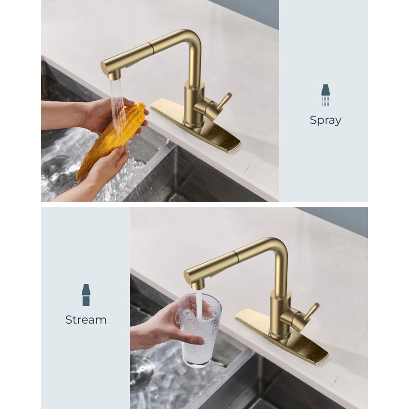 FORIOUS Gold Kitchen Faucet with Pull Down Sprayer, Stainless Steel
