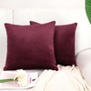 PiccoCasa Velvet Cushion Covers Set of 2 Stylish Nordic Decorative