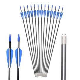 Fiberglass Arrows Archery 30 Inch Target Shooting Practice Safetyglass with Blue and White Vane for Recurve Bows Suitable for Youth Children Woman Beginner 12 PCS