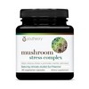Youtheory Mushroom Stress Complex, Organic Full-Spectrum Mushrrom with L-Theanine, Help