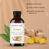 Ginger Essential Oil | 1 fl oz