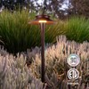 LEONLITE 5CCT Low Voltage Pathway Lights, 12-24V LED Landscape Path