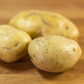 Yukon Gold Potatoes for Plántịng - Potato Sééds -2 Lbs, Heirloom, Non-GMO
