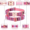 Collares de Perro Personalizados con Nombre, Grabado Personalizado Perros Collar
