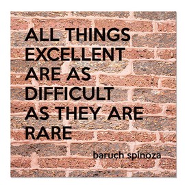 Aluminum Metal Sign Décor All Things Excellent are As Difficult As They are Rare Inspiration & Motivation Novelty Square Wall Art - Red Brick, 12"x12"