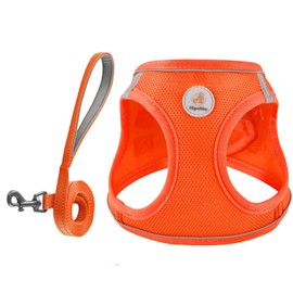 Hipubby Dog Harness and Leash Set, No Pull Soft Mesh Pet Harness for Small Medium Dogs, Cats - Step in Adjustable Reflective Puppy Harness with Buckle and Double D-Rings - Orange, L