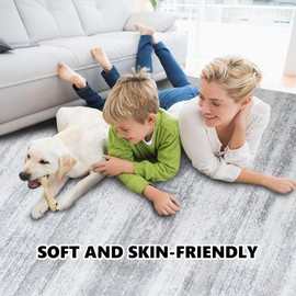 Shuonuo Area Rug 2FTX31FT Modern Graphite Rug Collection Craft with Non-Shedding Floor Carpet Washable for Living Room Bedroom Dining Home Office Grey