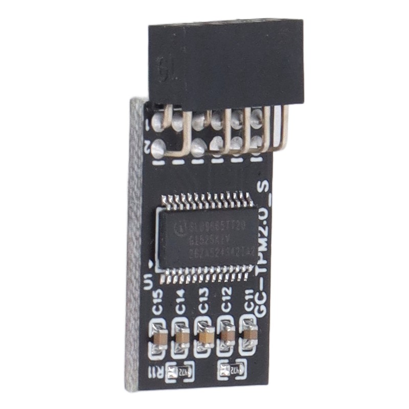 TPM 2.0 Module LPC SPI 12Pin Remote Card Encryption Security