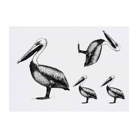 4 x 'Pelican Side View' Temporary Tattoos - Water Resistant, Skin-Safe, Non-Toxic Transfers, Mixed Sizes (TO00083126)