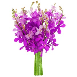 KaBloom PRIME NEXT DAY DELIVERY - Fall Collection - Spring Easter Collection - Belle Purple Orchids (10 stems) Fresh for Delivery Prime. Gift for Birthday, Mother’s Day Fresh Flowers