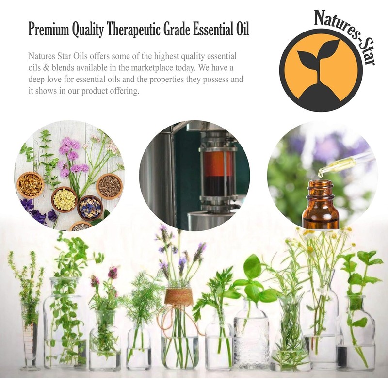 Natures-Star 16oz - Bulk Size Tea Tree Essential Oil (16