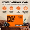 Beast Mode Soap for Men, Forest Ash, Single Bar –