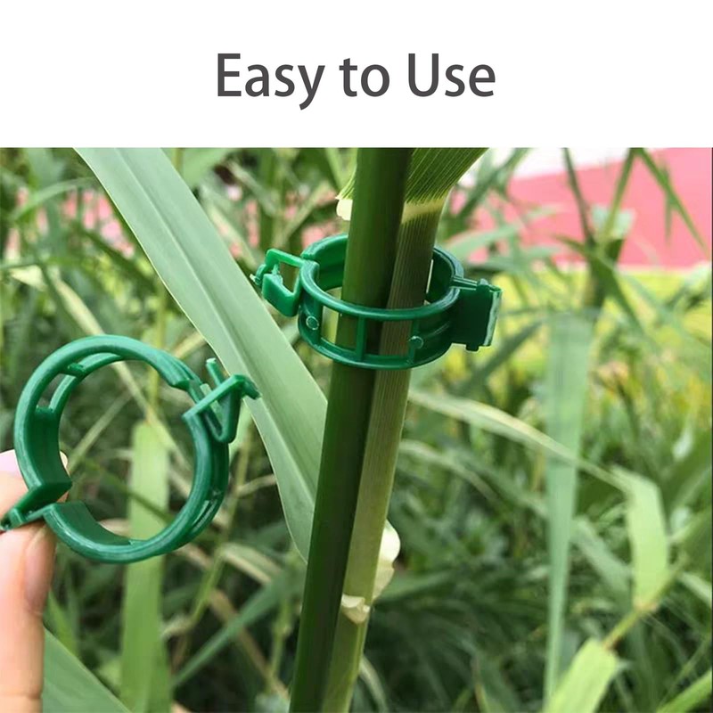 Plant Support Clips for Climbing Plants, Garden, Tomato Vines, Grape