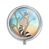 Ring-Tailed Cat Pill Case Trinket Gift Box