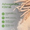 Zipvit Ashwagandha KSM 66 2000 mg with Vitamin B6, B5