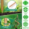 VIPNAJI Monstera Trellis, 4 Pack 70 cm Plant Stake Coir,