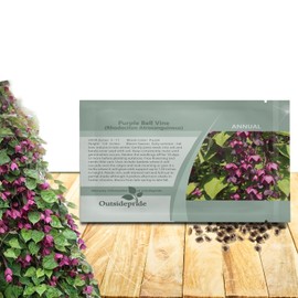 Outsidepride Purple Bell Vine Seeds - 25 Pcs. Annual, Versatile & Low Maintenance, Flower Seeds for Planting Vibrant & Exotic Purple Bell-Shaped Blooms for Vertical Landscaping & Pollinator Gardens