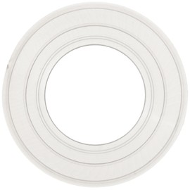Pentair 79116800 Gasket Replacement Pool and Spa Light