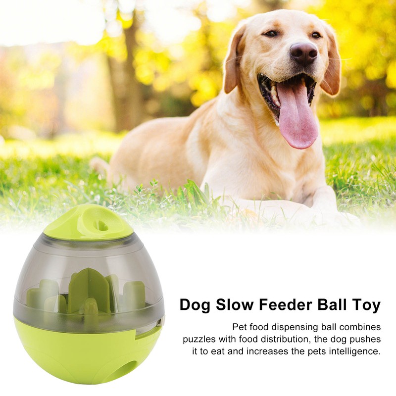 Pet Food Dispensing Ball Interactive Memory Training Dog Slow Feeder