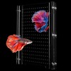 Fish Tank Divider, Transparent Acrylic Separator Plate with Suction Cups