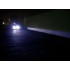 XenTec H11 10000K HID Xenon Bulb (1 Pair, Sky Blue