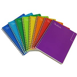 SKY BOOK PROFESIONAL COLORS ESCOLAR 100HJS 8PZ RAYA                                                                                                   
