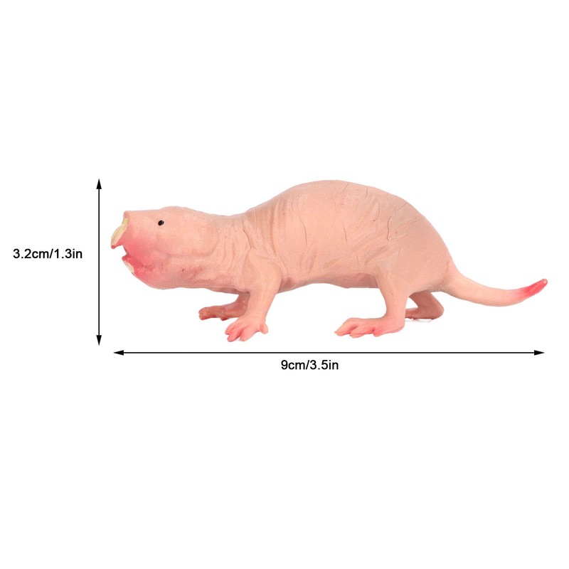 VBESTLIFE Plastic Mole Figure, Plastic Mole Figure, Toy Simulation, Static