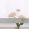 Yujiao Mao Voile Panel Curtains with Tabs, Pack of 1