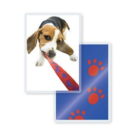 TruLam Laminating Pouches - Jumbo Size - 2-15/16-Inch by 4-1/8-Inch - 7 Mil Thickness - 500 Per Box - Compatible with Most Pouch Laminating Machines