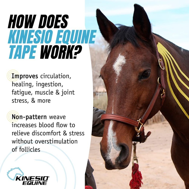 Kinesio Equine Tape - Tex Gold FP Horse Tape -Tape