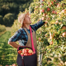 Estink Fruit Picking Bag, 600D Oxford Cloth Harvest Fruit Vegetable Picking Bag Portable Garden Apron Storage Pouch Fruit Vegetable Picking Apron for Outdoor Orchard Farm Garden Supplies