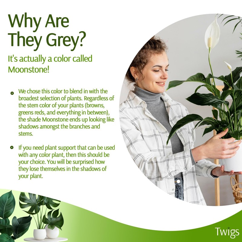 Twigs GA - Plant Support Stakes, Stem Holder Structures for