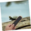 Sosoport Real Turtle Pet Toy Mini Skateboard Scooter for Bearded