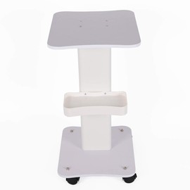 Beauty Salon Trolley, Spa Storage Equipment 4 Wheels Standing Mobile Trolley Beauty Instrument Storage Tray with Wheels for All Kinds of Beauty Salons Hospitals Hair Salons