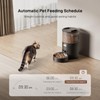 IMIPAW PET Automatic Cat Feeder: 3L Auto Food Dispenser with